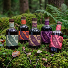Wild & Wonder Liqueur Taster Bundle: bottles of Elder Berry Original, Elder Orchard, Elder Spiced, Elderberry Black Forest and Rosehip Spritz liqueur.