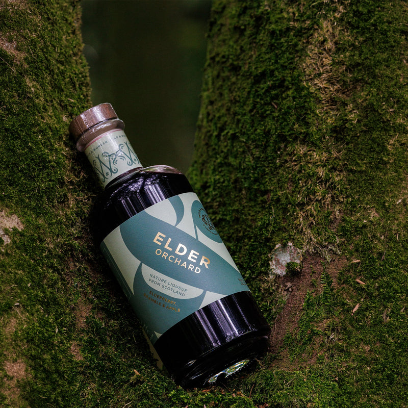 A bottle of Wild & Wonder Elder Orchard apple and bramble liqueur resting diagonally on mossy tree bark in an outdoor forest setting.