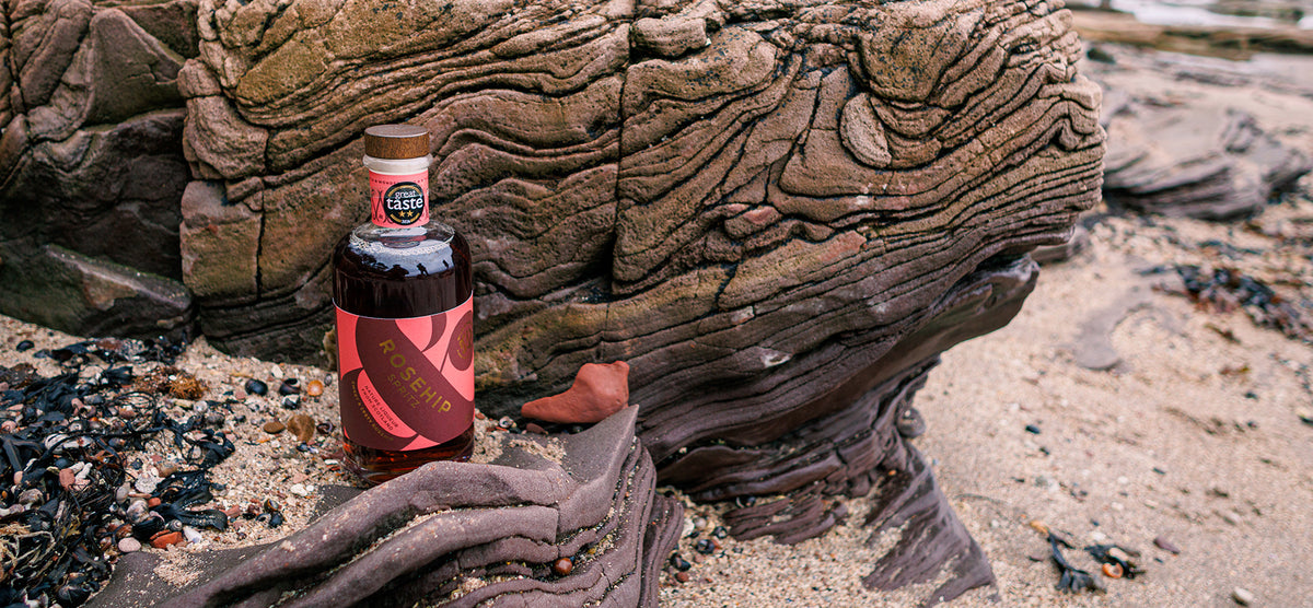 A bottle of Rosehip Spritz on layered sandstone rocks by the shore