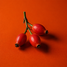 Three red rose hips on a green stem, arranged on a solid orange-red background with soft shadows.
