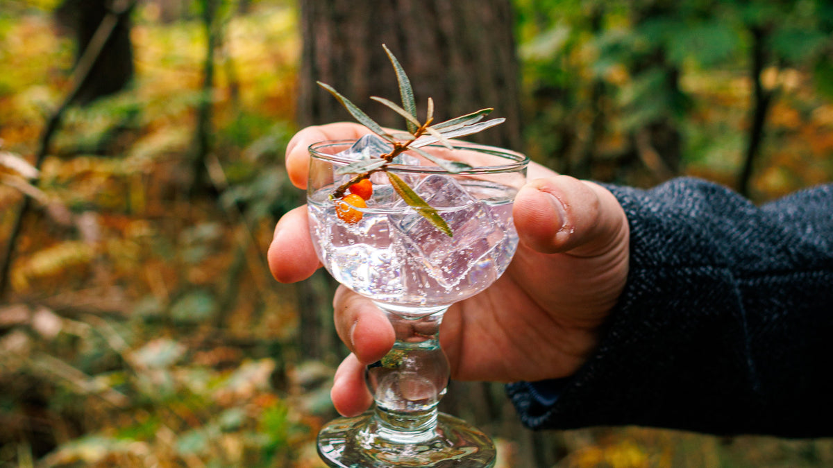 A hand holding up a cocktail over ice, garnished with a sprig of sea buckthorn, in an autumn wood