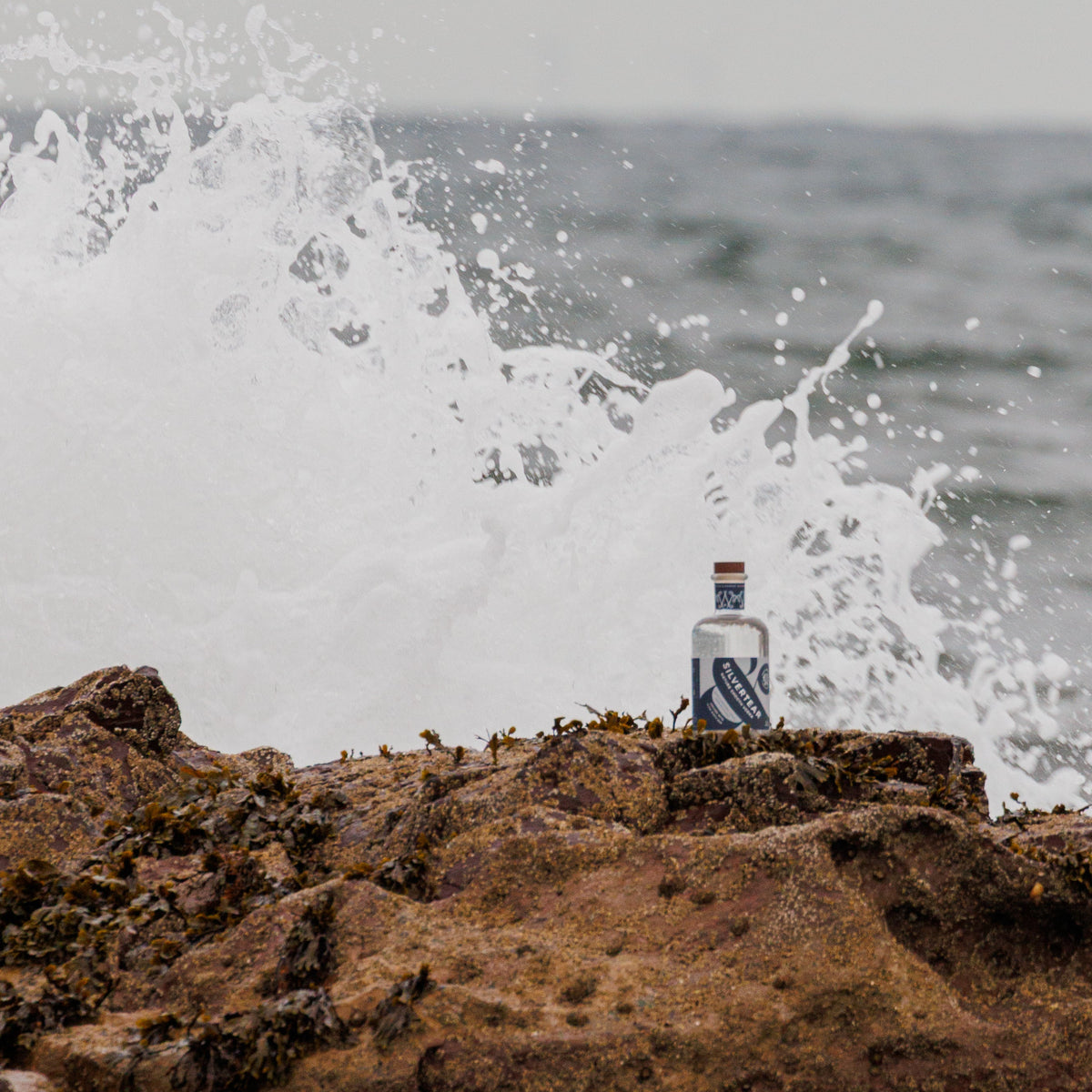 A bottle of Silvertear Nature vodka on coastal rocks as a wave crashes behind it